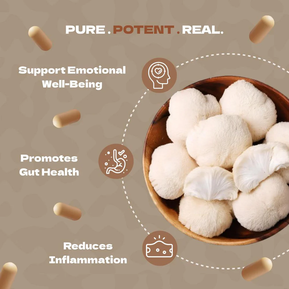 Mushroom Genetics - MEMORY - Image 3